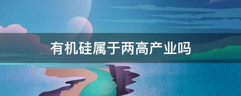 有机硅属于两高产业吗（有机硅属于两高产业吗为什么）