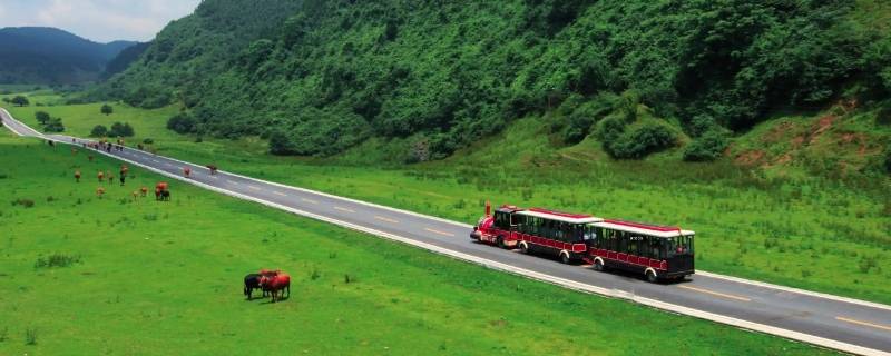 鱼洞到仙女山怎么坐车 鱼洞到仙女山多少公里