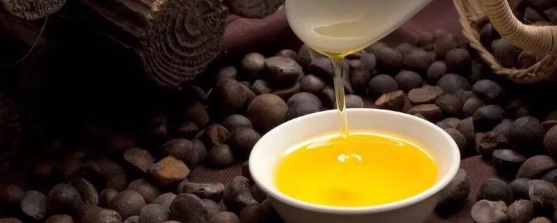 按压杠杆榨油是什么杠杆（按压杠杆榨油是什么杠杆图解）