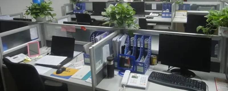 网络公司行政主任忙吗