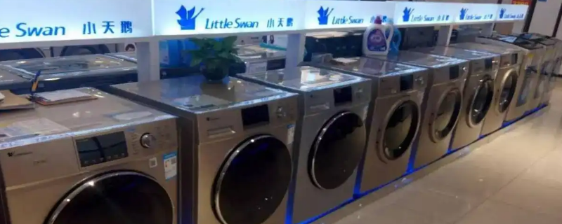 小天鹅和丁天鹅是什么关系（你知道小天鹅吗）