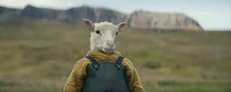 电影羊崽被羊人带走会不会死 电影羊崽被羊人带走会不会死亡