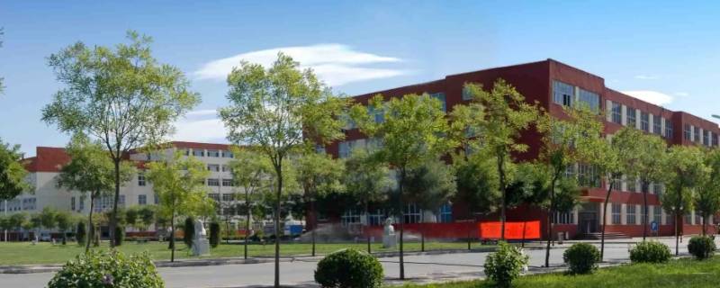 北京经济管理学院可以养宠物吗 北京大学可以养宠物吗