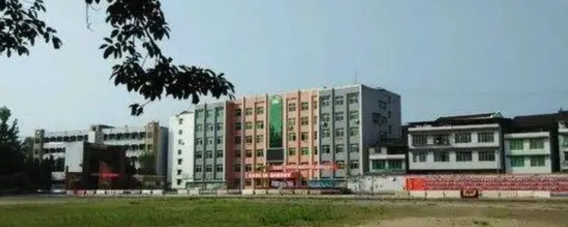 忠县三汇中学录取分数线2020（忠县三汇中学录取分数线2020）