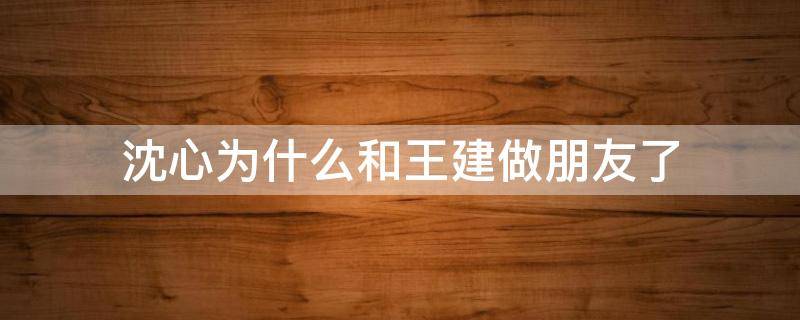 沈心为什么和王建做朋友了（沈心与王建为什么分手）