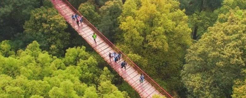 歌乐山森林公园晚上可以去吗 歌乐山森林公园晚上可以去吗