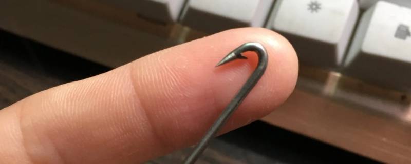 懒人黄鳝钩怎么用 自动黄鳝钩怎么使用