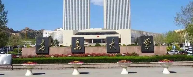 青岛大学y009是啥 山东大学y001是什么