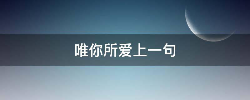 唯你所爱上一句（唯你所爱上一句怎么说）