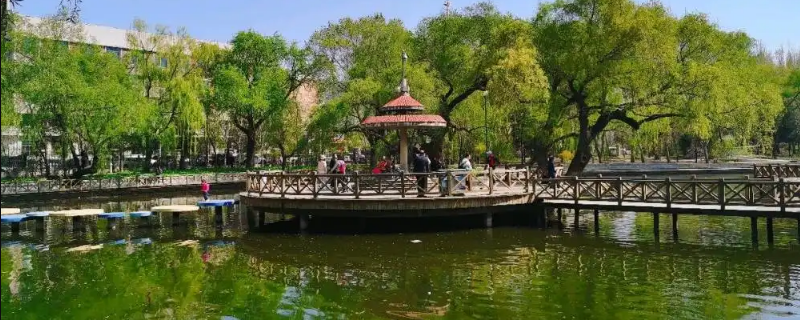 沈阳南湖公园有卖渔具的么 沈阳南湖公园花鸟鱼市