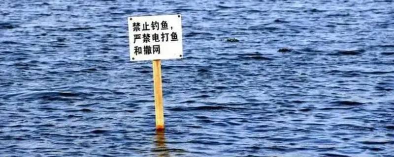 禁鱼期市场能做零售鱼档生意吗 禁渔期期间可以卖什么鱼