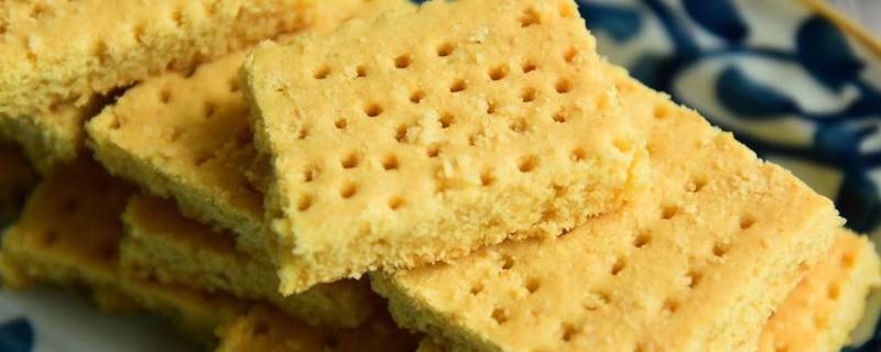 宅猫日记是日本的吗（宅猫日记公司）