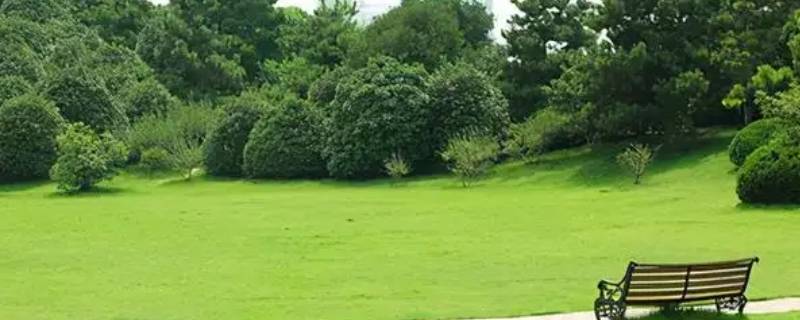 场口桥头草坪公园什么时候建成（场口桥头草坪公园什么时候建成的）