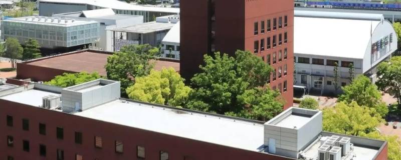 山梨学院大学孔子学院课多吗（山梨大学好考吗）