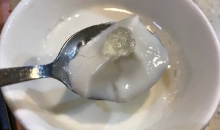 椰汁炖燕窝的做法 椰汁炖燕窝 做法