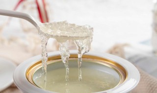 水果燕窝的做法（水果燕窝的做法与吃法）