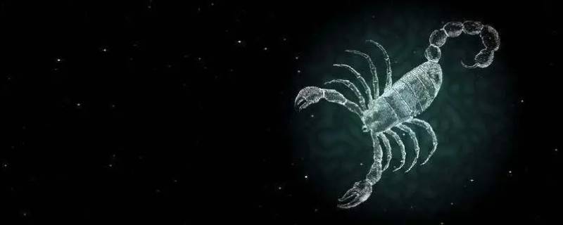 最让天秤座心累的星座（心疼天秤座的星座）