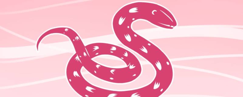 属蛇人的婚姻与命运如何 属蛇人的婚姻与命运如何呢