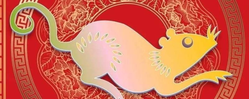 属鼠人的婚姻与命运如何 属鼠的人婚姻和运程