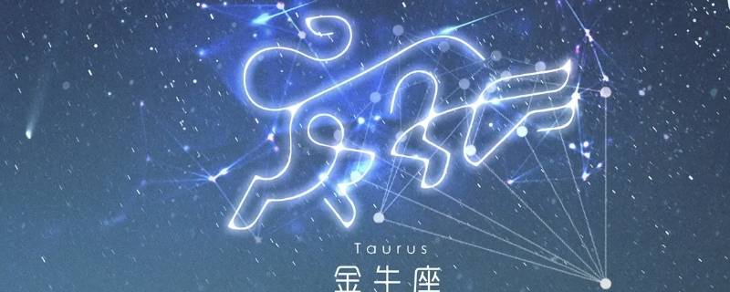 未来最有本事的星座（什么星座最有本事）