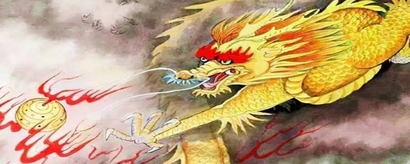 为什么属龙不能带金 为什么属龙不能带金饰