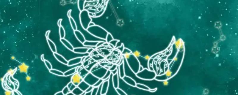 深得领导器重的3星座（领导能力最强的星座）