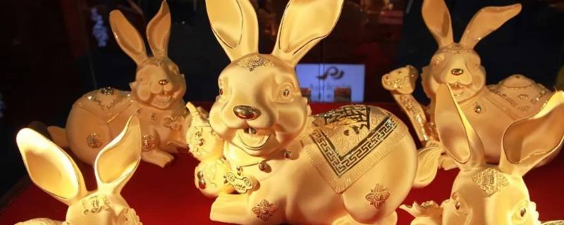 属兔晚年什么样 属兔的晚年怎么样