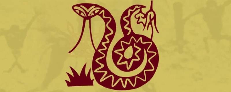 女人梦见蛇的七大预兆（女人梦见蛇的七大预兆周公解梦）