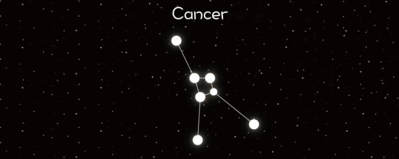 越低调就越高贵的星座（非常低调的星座）