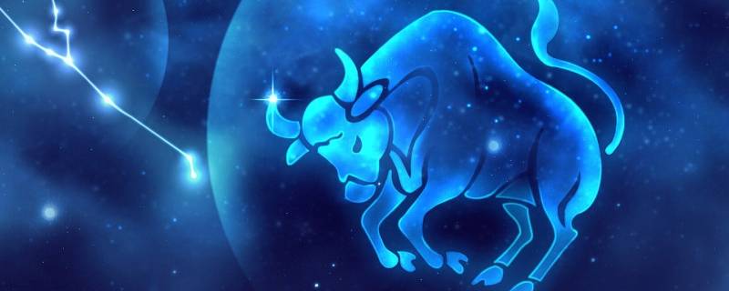 什么星座最崇拜金牛座（什么星座最崇拜金牛座女生）
