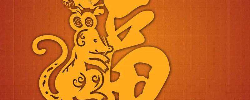 生肖鼠一辈子贵人是谁 生肖鼠一生的贵人是什么生肖
