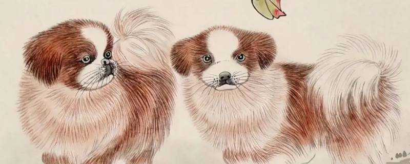 财源滚滚永不穷的生肖 滚滚财源什么生肖