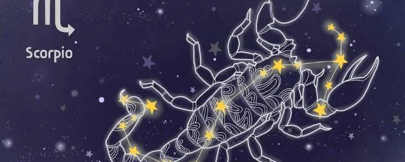 最会为人处事的星座（为人处事最好的星座）