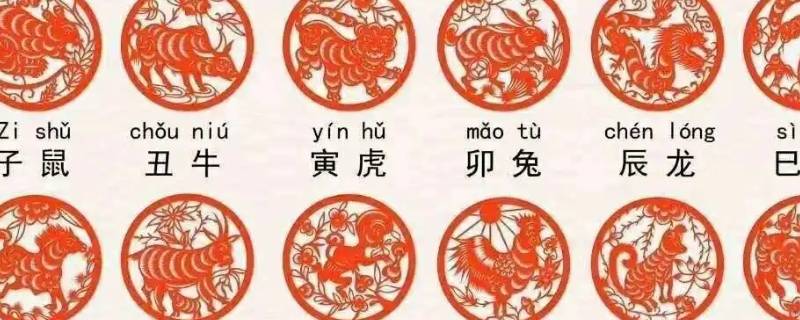 12生肖住几楼最旺（12生肖住几楼最旺属龙）