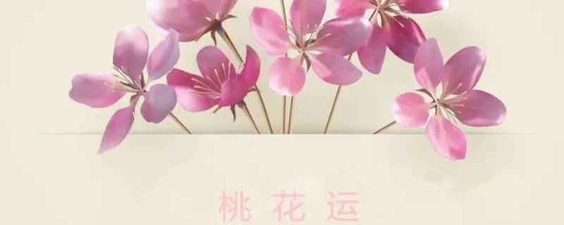 最容易招烂桃花的属相（最容易招烂桃花的属相是什么）