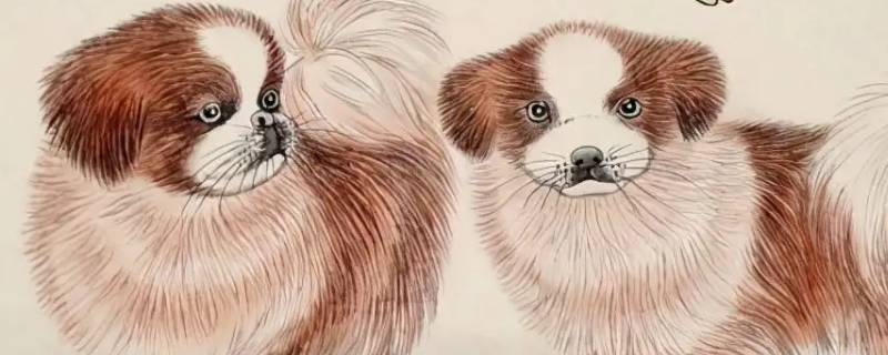 皇家侍卫指什么生肖（皇家侍卫指什么生肖打一生肖）