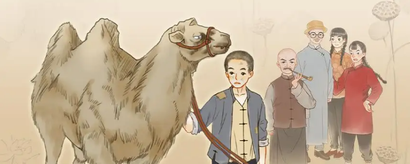 骆驼祥子二内容梳理 骆驼祥子二内容概括