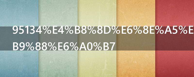 95134不接会怎么样（95113为啥没人接）