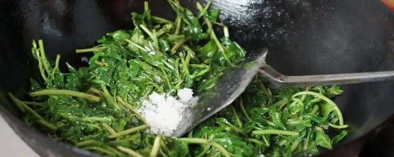 枸杞头怎么烧好吃 枸杞头怎么烧好吃窍门
