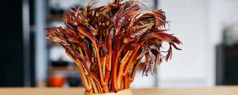 香椿保鲜方法运输方法 香椿如何保鲜运输