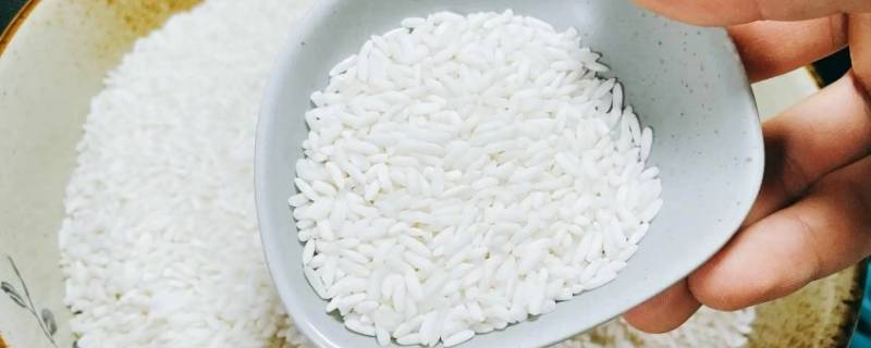 糯米热量高还是大米 糯米热量高吗还是大米