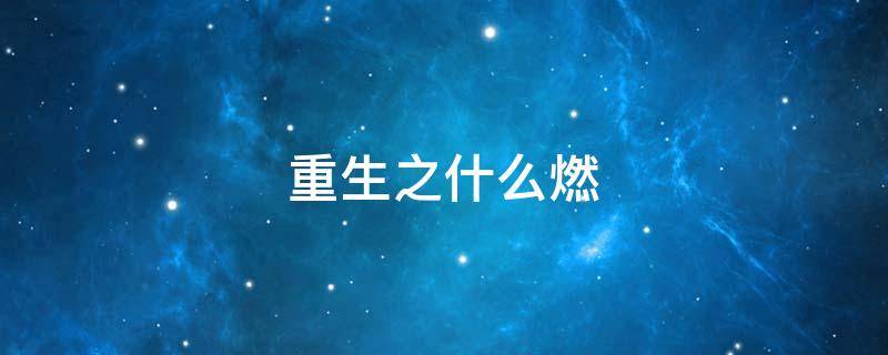 重生之什么燃（重燃之类的小说）