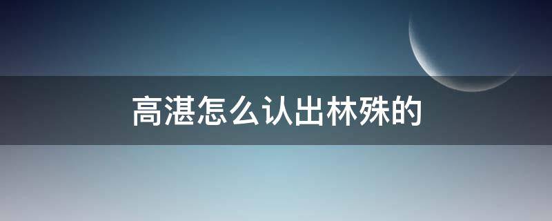 高湛怎么认出林殊的 高湛什么时候认出林殊