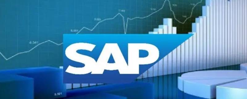 sap啥意思（sap 什么意思）