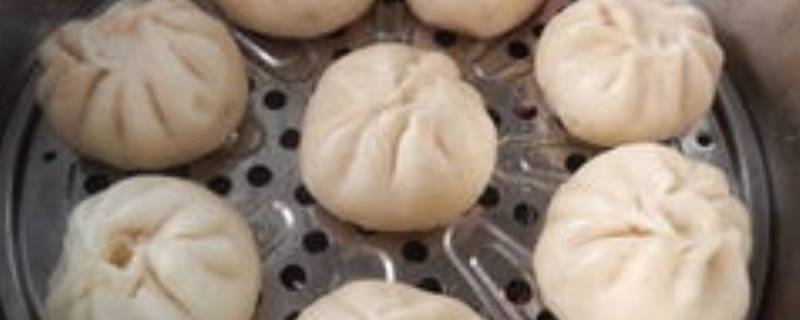 肉包子蒸多少分钟（肉包子要蒸多长时间能蒸熟）