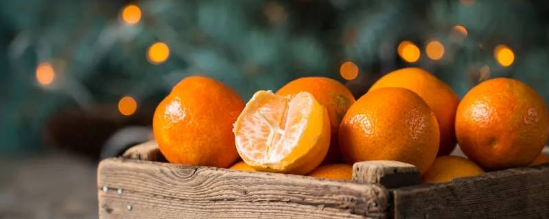 柑橘热量（红美人柑橘热量）