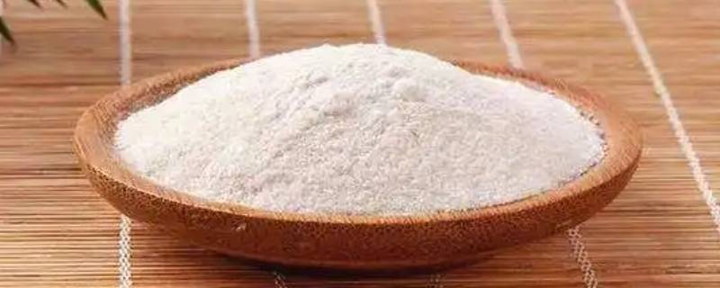 吃菊粉为什么会发胖（菊子吃多了会发胖吗）