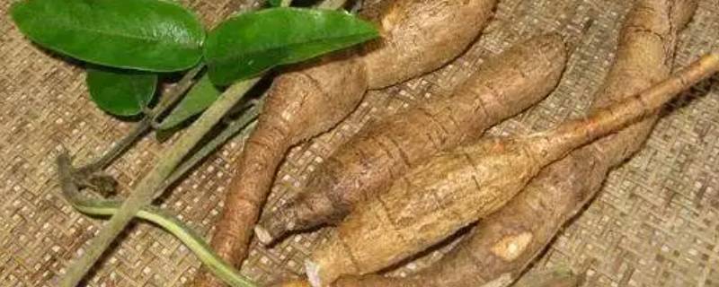 牛大力是保护植物吗 牛大力是保护植物吗百科