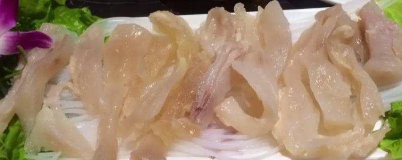 牛蹄筋是牛的哪个部位（牛蹄筋是牛的什么部位）