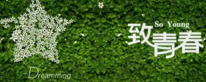 青春之放由我掌舵是什么意思 青春之放由我掌舵是什么意思